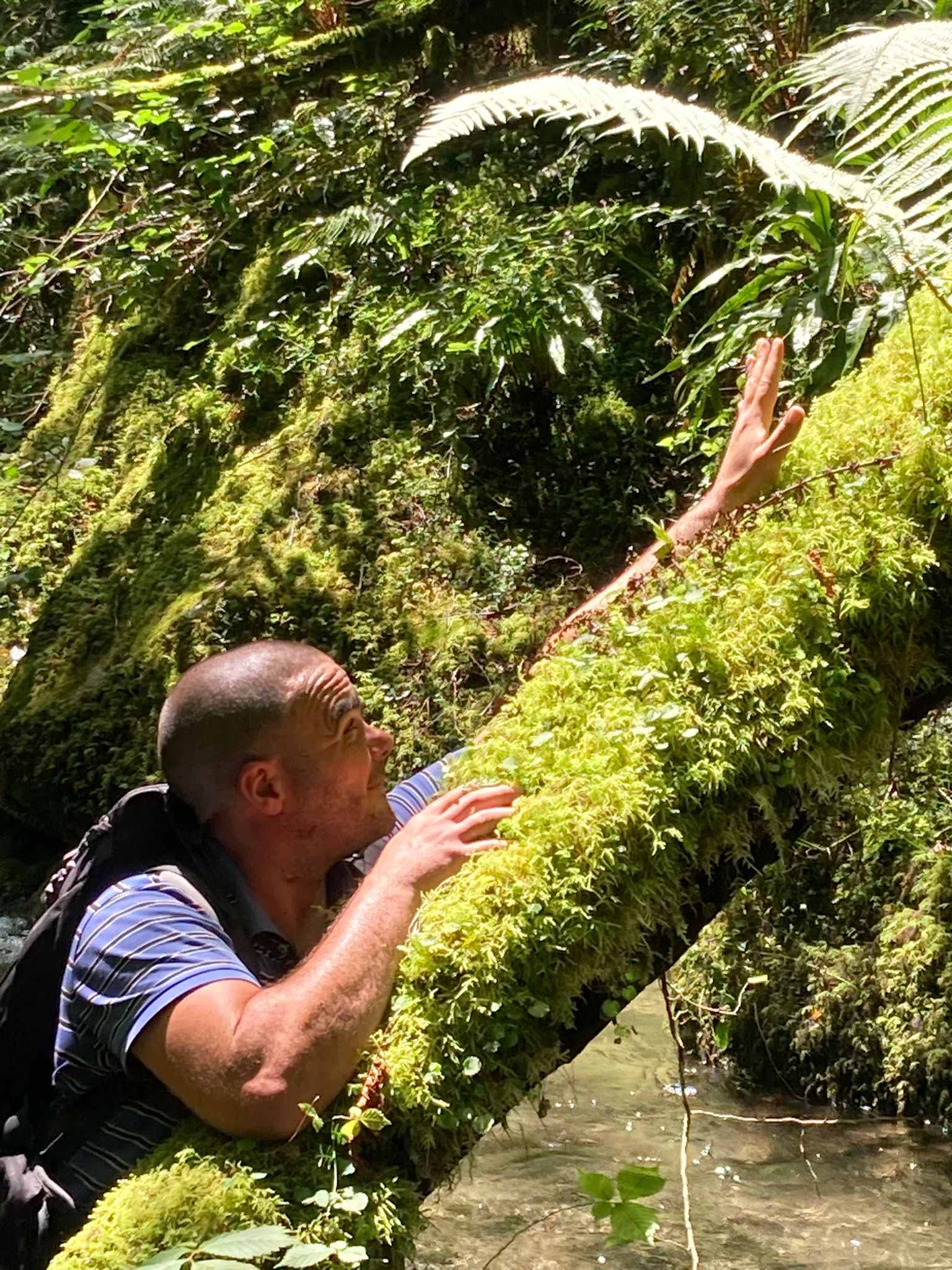 Pol - Assesse - Namur | Annonce Sex