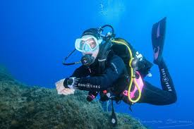 Zola - Montaigu-Zichem - Brabant flamand | Annonce Sex