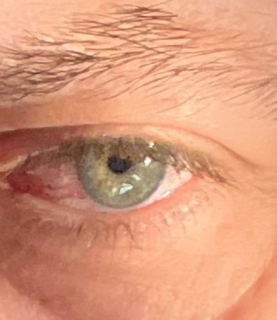 Mana - Rochefort - Namur | Annonce Sex