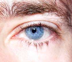 Elli - Beauvechain - Brabant wallon | Annonce Sex